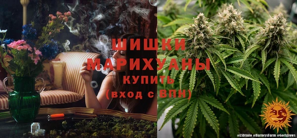 Альфа ПВП Медногорск