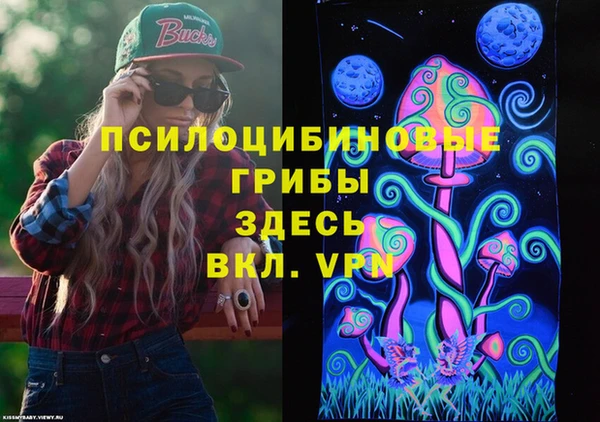 дмт Медвежьегорск