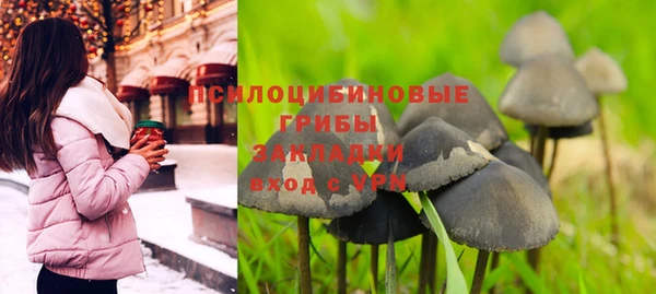 ГАЛЛЮЦИНОГЕННЫЕ ГРИБЫ Мегион