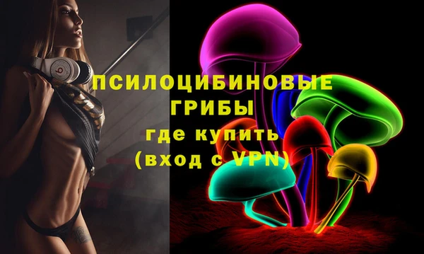 дмт Медвежьегорск