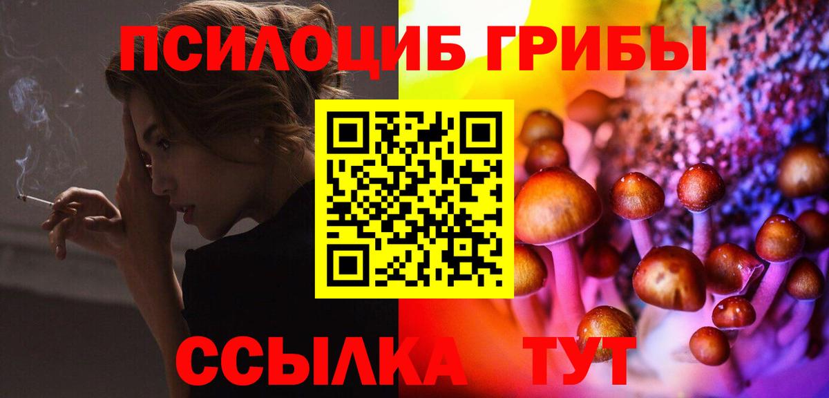 Галлюциногенные грибы Psilocybe Саранск