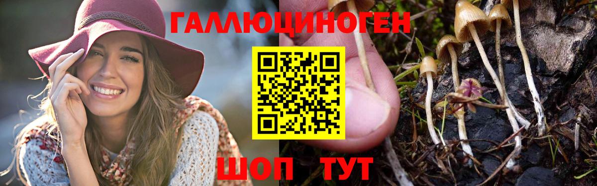 Саранск  Псилоцибиновые грибы ЛСД  Вход с VPN 