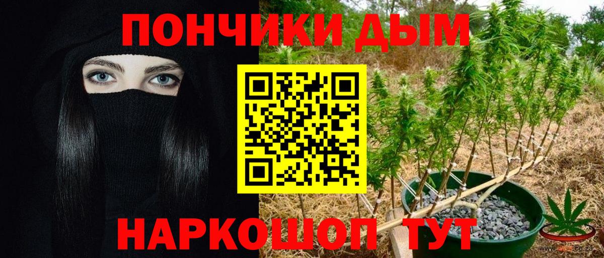 Шишки марихуана план Саранск